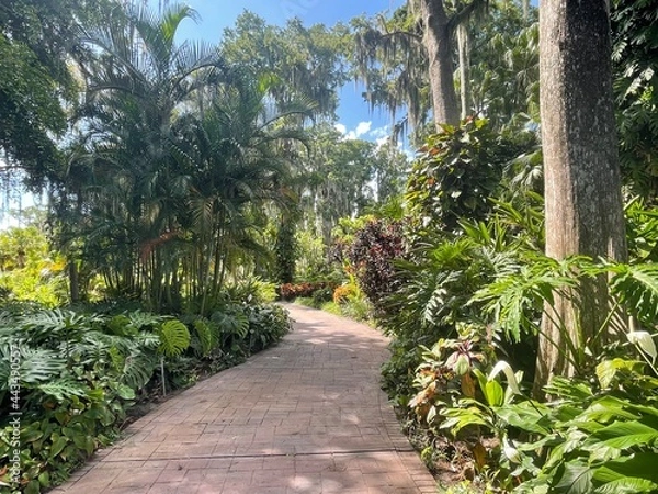 Obraz Tropical Garden