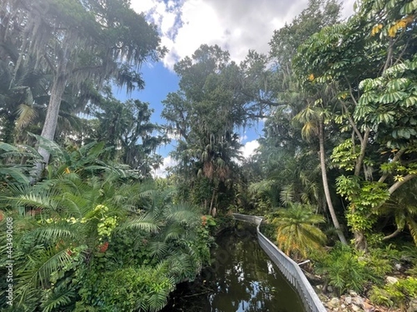 Obraz Tropical Garden