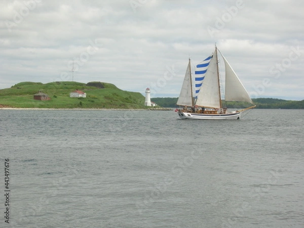 Obraz sailing on the sea
