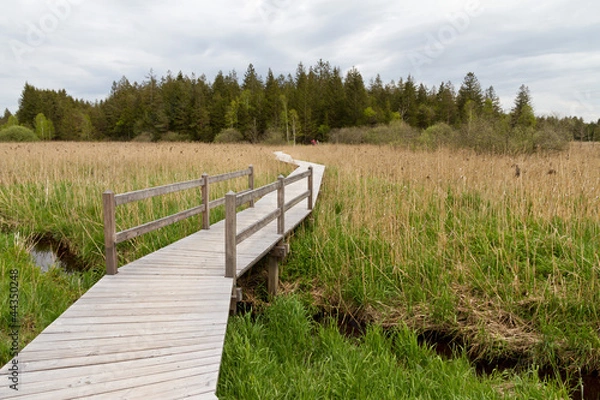 Obraz Elbsee Rundweg