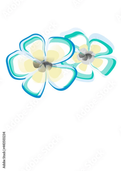 Obraz Exotic flowers