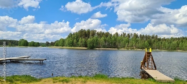 Obraz lake in the forest