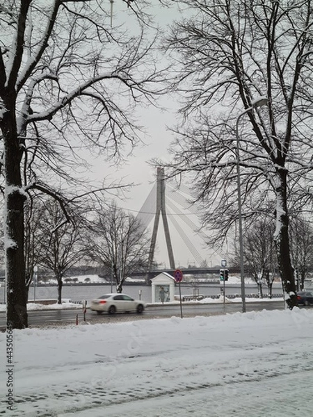 Obraz winter in the city