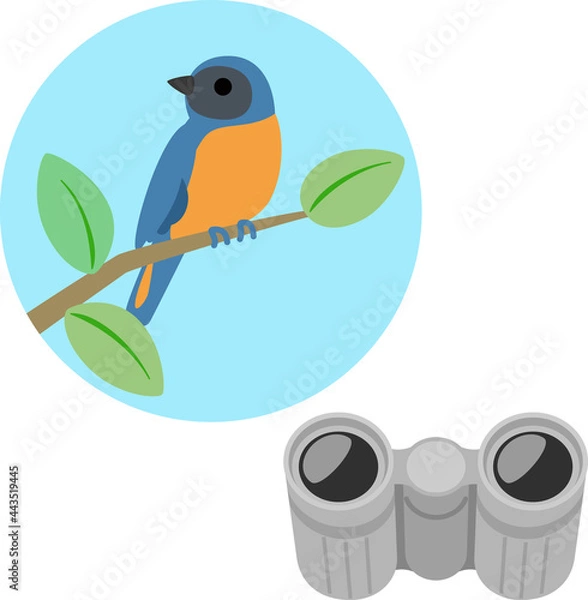 Fototapeta 双眼鏡と小鳥のビジョン、バードウォッチング