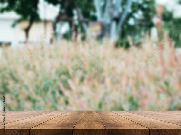 Fototapeta 3D rendering, wooden top table on isolate light and blurred background