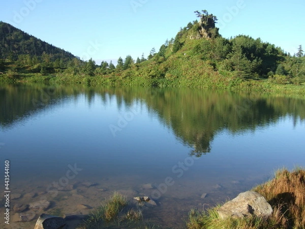 Fototapeta 日に照らされる池