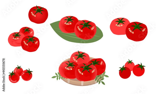 Fototapeta トマトのイラストセット　