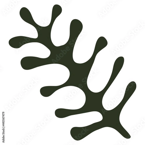 Obraz decorative flowers leaves and items to create postcards and patterns