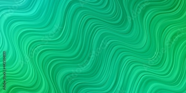 Fototapeta Light Green vector background with curved lines.