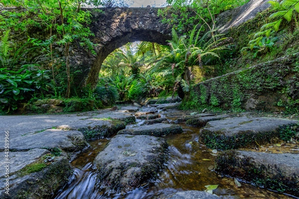 Fototapeta Strem under a small stone bridge arch. Sintra Portugal