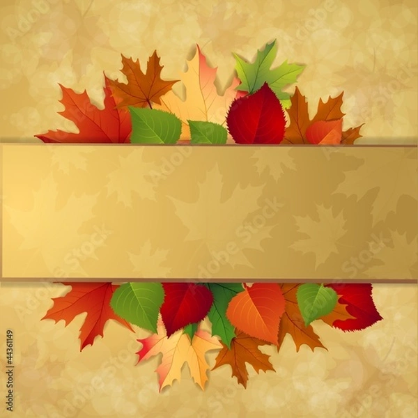 Obraz Autumn background with leaves
