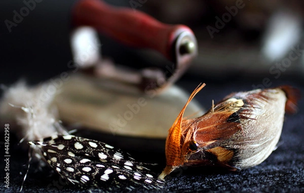 Obraz Bird and an Iron