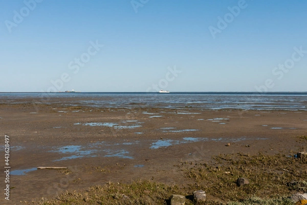 Fototapeta Waddenzee, Wadden Sea