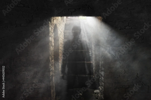 Fototapeta Ghost in the dungeon