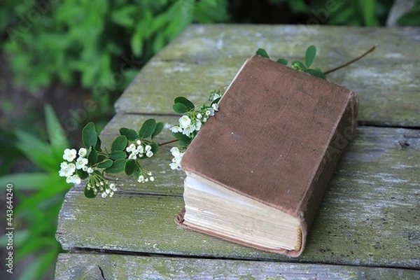 Obraz książka retro
