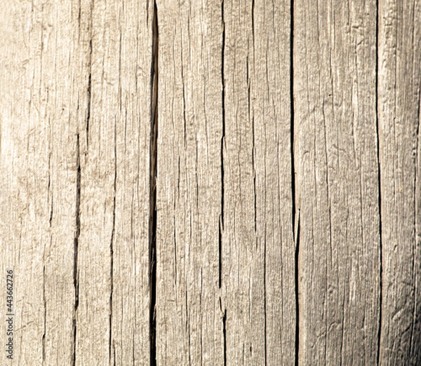 Obraz Wood Texture