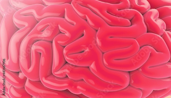 Obraz brain floral texture made from 3d model in abstract form