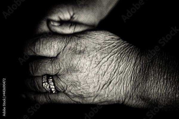 Obraz 歴史を刻んだ母の手にありがとう！