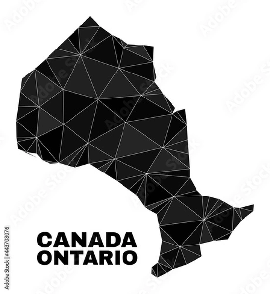 Fototapeta lowpoly Ontario Province map. Polygonal Ontario Province map vector designed from random triangles. Triangulated Ontario Province map polygonal model for patriotic posters.
