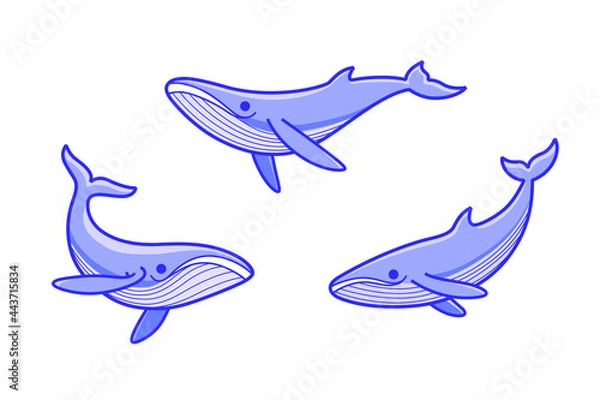 Fototapeta Cartoon whale sketch line icon. Kawaii animals icons set. Childish print for nursery, kids apparel, poster, postcard, pattern.