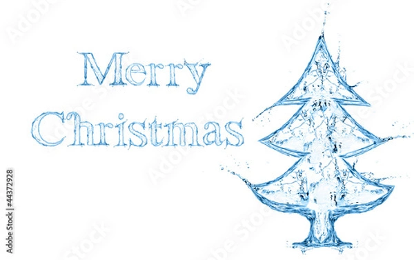 Obraz fir tree from water