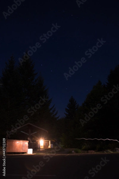 Obraz house in the woods