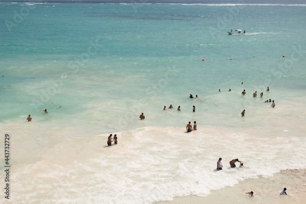 Obraz seagulls on the beach