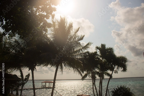 Obraz sunset on the beach