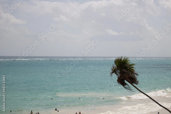 Obraz tree on the beach