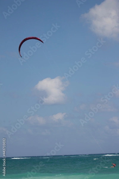 Obraz kite on the beach