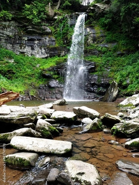 Obraz Scenic Forest Waterfall in Summer