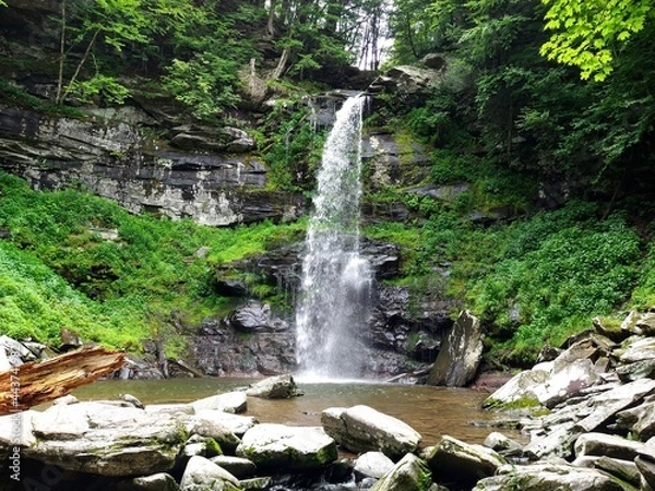 Obraz Scenic Forest Waterfall in Summer