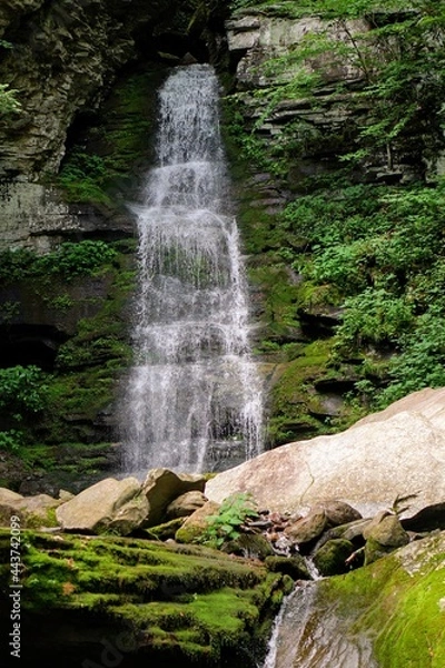 Obraz Scenic Forest Waterfall in Summer