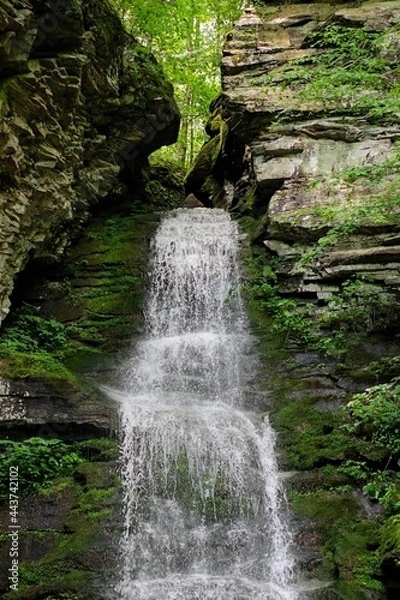 Obraz Scenic Forest Waterfall in Summer