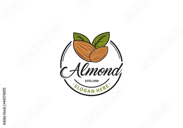 Obraz Almond logo template. vector in white background