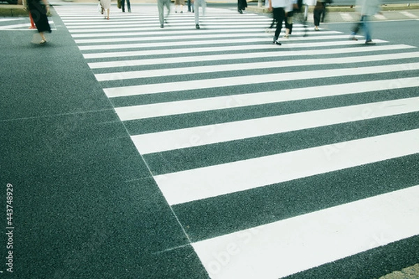 Obraz 日常 風景 横断歩道	

