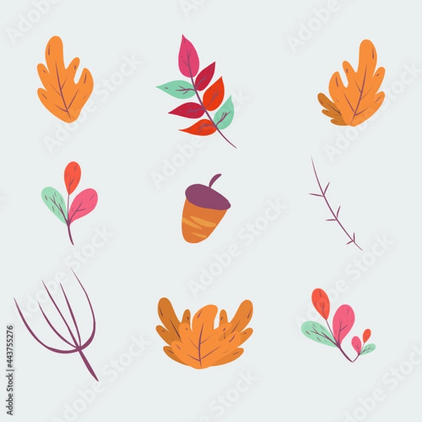 Fototapeta Autumn hand drawn elements Free Vector