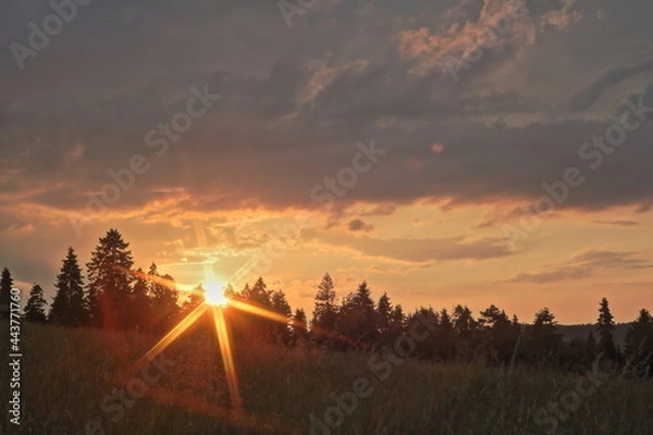 Fototapeta Sunset in the forest with yellow clouds