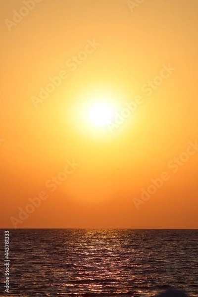 Obraz sunset over the sea