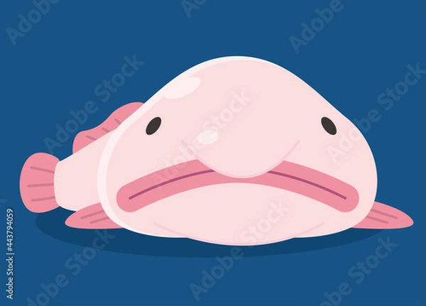 Obraz ブロブフィッシュ・ニュウドウカジカ/深海