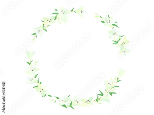 Fototapeta 百合のフレーム