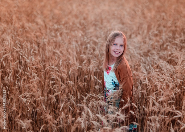 Obraz girl in a wheat field