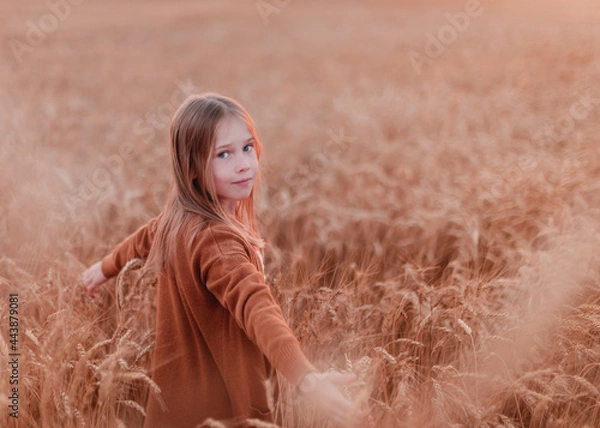 Obraz girl in a field