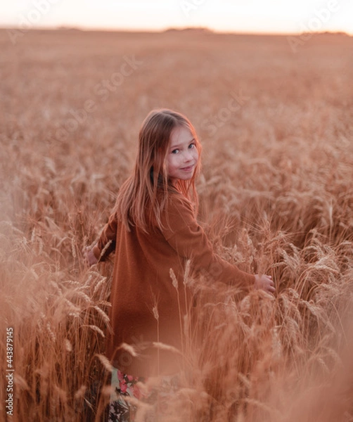 Obraz portrait of a girl in a field