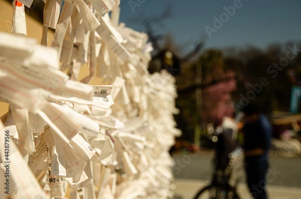 Fototapeta Wishes Papers