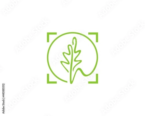 Obraz best oak leaf logo