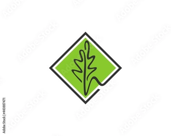 Fototapeta best oak leaf logo