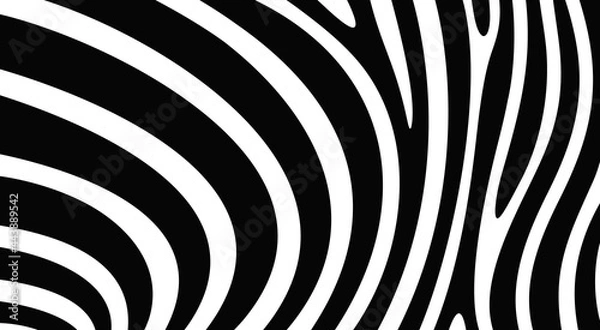 Fototapeta Zebra texture logo. Isolated zebra texture on white background
