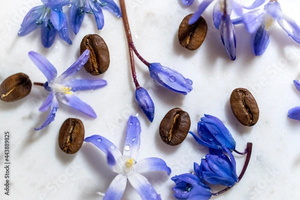 Obraz blue flowers and coffee beans
