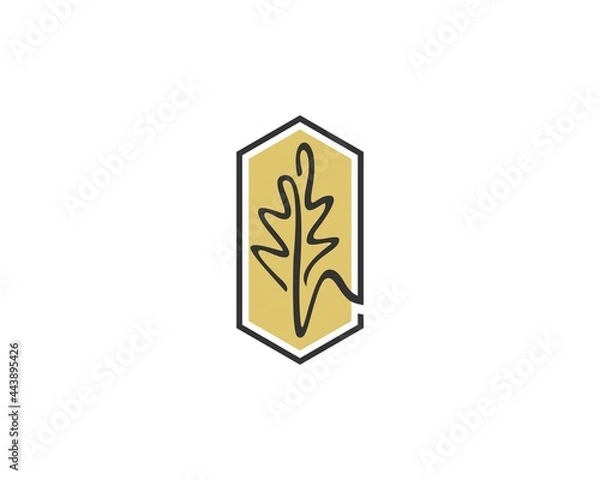 Fototapeta best oak leaf logo